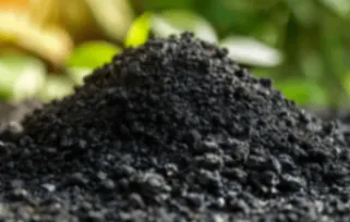 BioChar Udumalaipettai