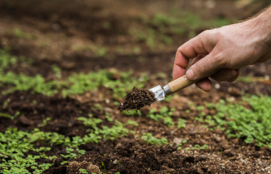 Soil sample and farming guide for saline soil improvement