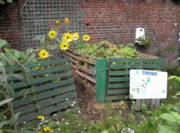 Garden compost bins made from green wooden pallets with a COMPOST sign, sunflowers, and a brick wall
