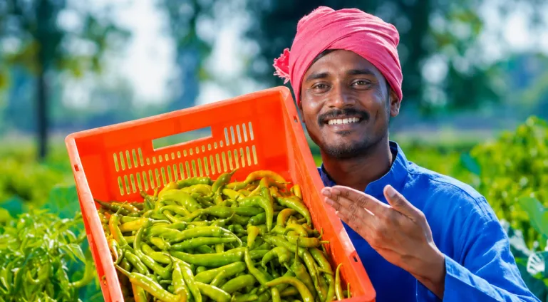 Direct-to-farm organic fertilizer delivery