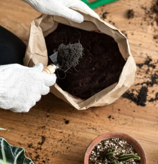 Organic fertilizer for saline soil Tamil Nadu