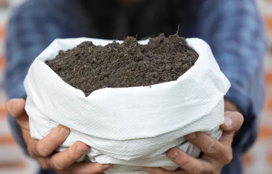 Soil enhancers for saline and depleted soils Tamil Nadu